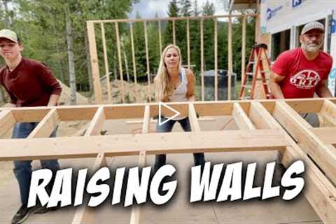 Framing Walls for our Off Grid House - Real Off-Grid Living