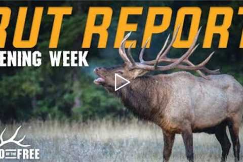 RUT REPORT: OPENING WEEKEND (LAND OF THE FREE)