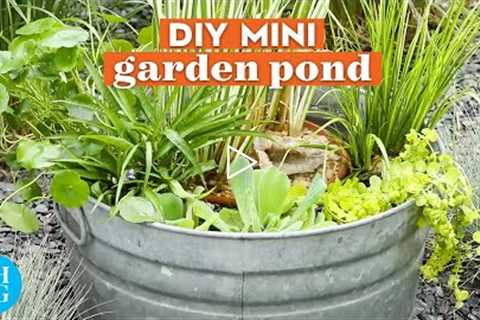 Easy DIY Garden Pond in a Bucket | Basics | Better Homes & Gardens