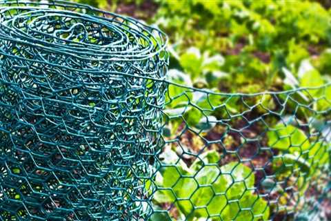 The Benefits of Green Garden Fencing