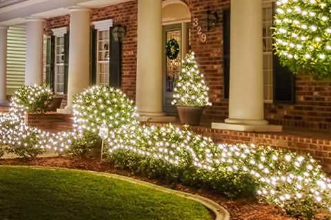 Using Tree Wrap Lights to Highlight Your Home’s Exterior