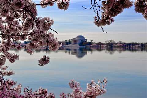 10 Most Affordable Washington, DC Suburbs to Live In