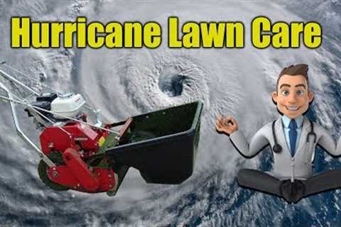 Hurricane Dorian Prep and Lawn Care