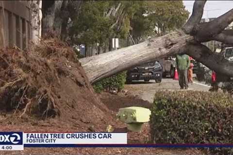 Fierce winds wreak havoc across Bay Area