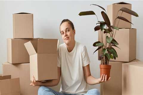 What should you not let movers take?