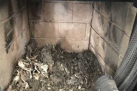 Chimney Cleaning: How Messy Is It Really?