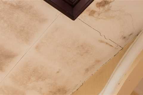 Revitalize And Repair: Home Remodeling Tips For Water Damage Restoration In Overland Park, KS