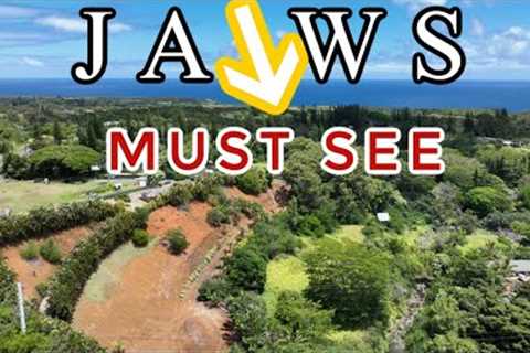 A QUALITY Maui Home For Sale - Haiku Hawaii Close to JAWS