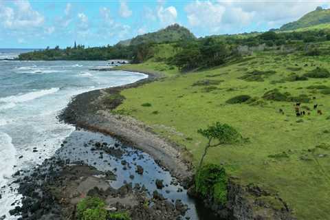 Preserving Maui's Coastal Land: How the Maui Coastal Land Trust Acquires Land