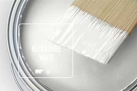 Behr Premium Plus Low Odor Interior Paint & Primer