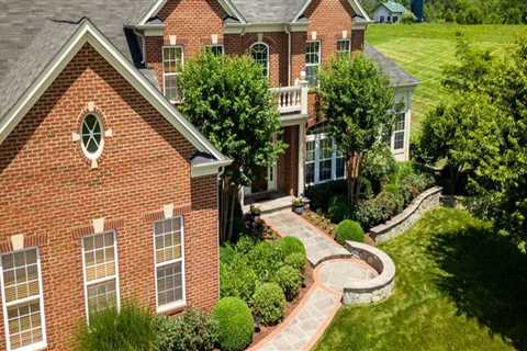Branching Out: The Secret To Stunning Curb Appeal With Leesburg's Leading Tree Contractor