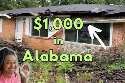 How much Real Estate $1,000 gets you in Alabama!?