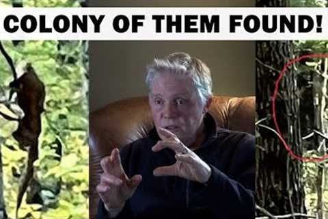 MUST SEE photos of Full-Body Bigfoot and Dogmen | Gene Harrison''s Story