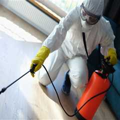 Boost Your Home's Curb Appeal: The Role Of Professional Exterminators In Calgary