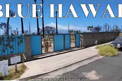 Maui Fires - Welcome to the New BLUE Hawaii!