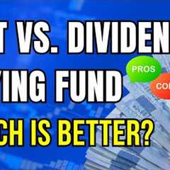 REITs vs. DIVIDEND PAYING FUNDs: Which is Better? / REITs Investing