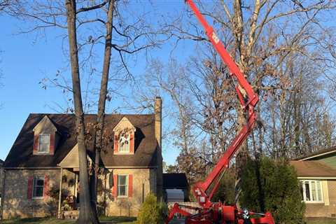 Enjoy A Hassle-free Autumn With Weekly Leaf Removal Services For Timber Frame Houses In Northern..