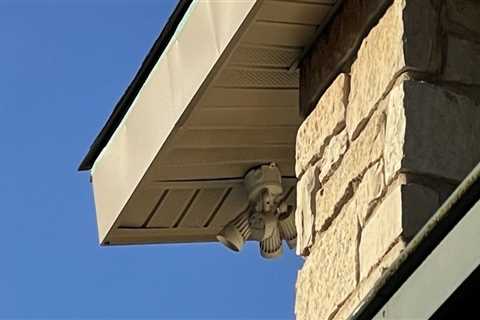 Gutter Replacement Solutions For Crystal Lake's Investment Realty Owners