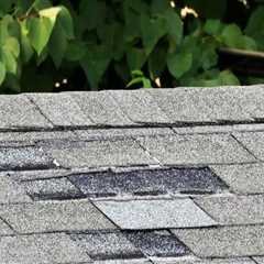 Missing or Damaged Shingles: Options and Solutions for Your Outdoor Living Spaces