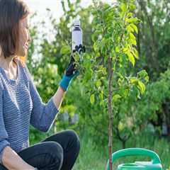 How A Pest Control Company Can Help Improve Residential Appraisal Value In Greenbelt, MD?