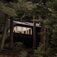 This Bunkie in Ontario Was Designed to Disappear Without a Trace
