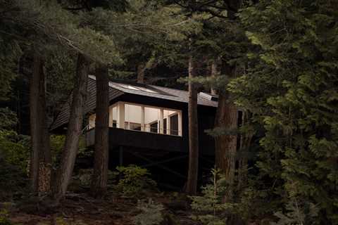 This Bunkie in Ontario Was Designed to Disappear Without a Trace