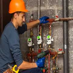 Professional Plumbing: The Backbone Of Any Sorrento Home Remodel