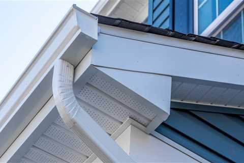 The Essential Guide To Home Building In Orlando: Choosing Gutter Works For Quality Rainwater..