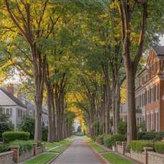 The Power of Community in Morris County, NJ Real Estate