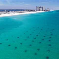 The Impact of Enterprises on Northwest Florida's Economy