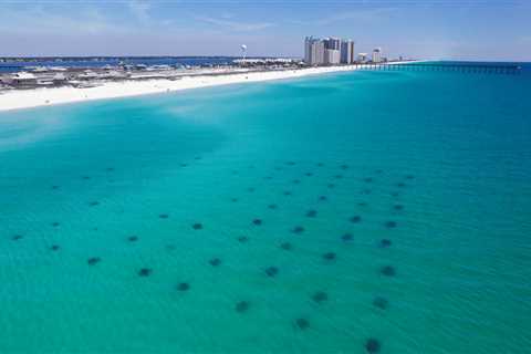 The Impact of Enterprises on Northwest Florida's Economy