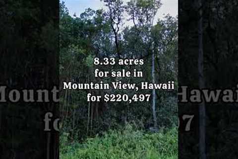8.33 acres In Hawaii for $220,497 ✅ #realestate #hawaii #shorts #fyp #property #forsale #land #sale