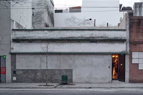 A Sanctuary of a Home Hides Behind This Gray Wall in the Middle of Buenos Aires