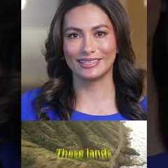 History of Hawaii Real Estate pt. 1 #hawaii #hawaiirealestate #realestateagents #investing