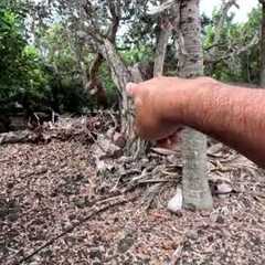 Touring a House We Are Looking at Buying - Ocean View Big Island of Hawaii