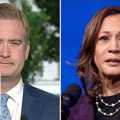 Peter Doocy: Leaks are coming out of the Harris campaign