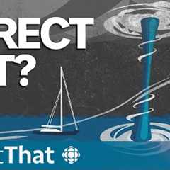 How the Bayesian superyacht sank in minutes | About That