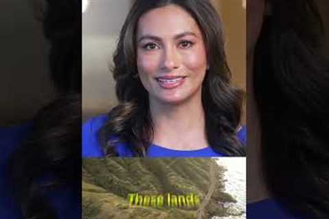 History of Hawaii Real Estate pt. 1 #hawaii #hawaiirealestate #realestateagents #investing