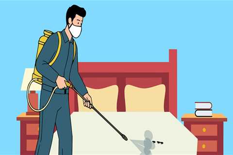 Protect Your New Home from Pests with Federation Pest Control