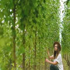 Enhance Home Value with Expert Tree Care in Warminster, PA