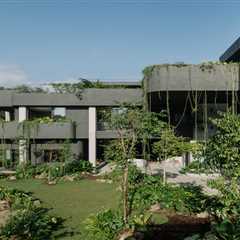 Gardens Grow Inside and Out of This Wild Singapore Home