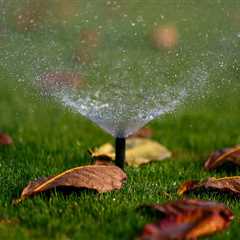 Enhance Your Landscape with Expert Sprinkler Installation