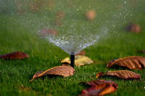Enhance Your Landscape with Expert Sprinkler Installation
