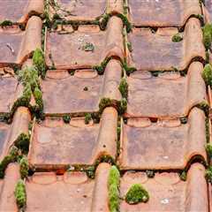 Enhancing Senior Living with Expert Shingle Roofers in Lumberton