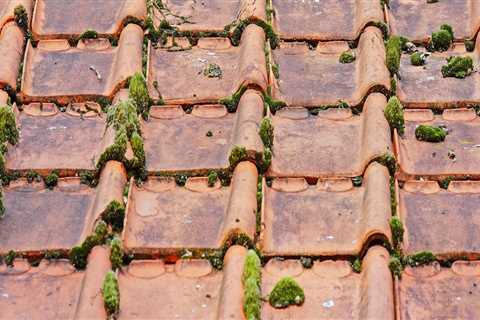 Enhancing Senior Living with Expert Shingle Roofers in Lumberton