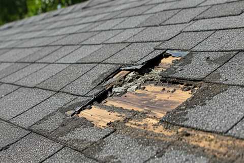 Why Appliance Repair Technicians Sometimes Notice Signs of Roofing Moisture Problems