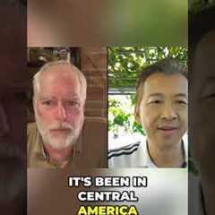 Travel Central America: 3 Months House-Sitting #shorts