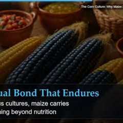 The Corn Culture: Why Maize Still Defines Mexican Wellness