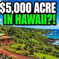 The Cheapest Land in Hawaii Costs $5,000 — And the Reason Will Terrify You
